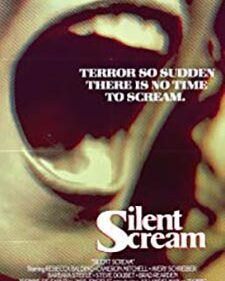 Silent Scream box art