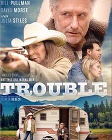 Trouble box art
