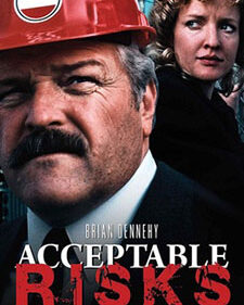 Acceptable Risks box art