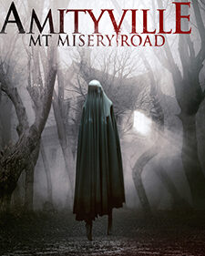 Amityville: Mt. Misery Road box art