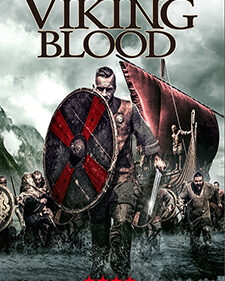 Viking Blood box art