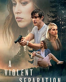 A Violent Separation box art