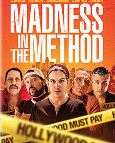 Madness in the Method box art