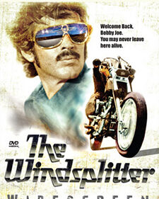 The Windsplitter box art