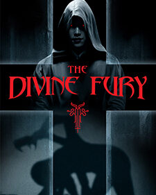 The Divine Fury box art