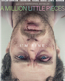 A Million Little Pieces box art