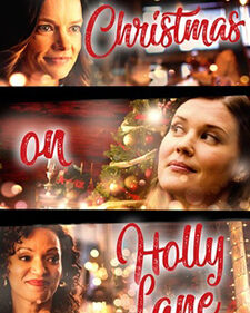 Christmas On Holly Lane box art