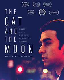 The Cat and the Moon box art