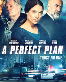 A Perfect Plan box art