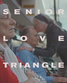 Senior Love Triangle box art