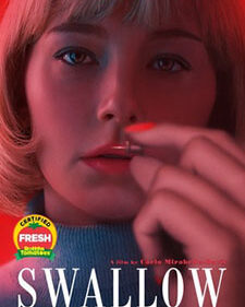 Swallow box art