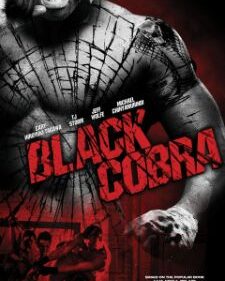 Black Cobra box art