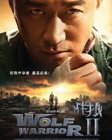Wolf Warrior 2 box art