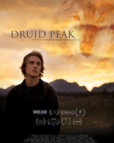 Druid Peak box art