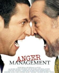 Anger Management box art