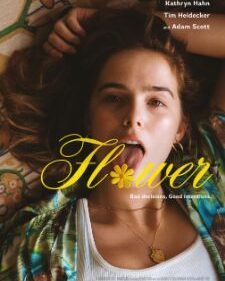 Flower box art