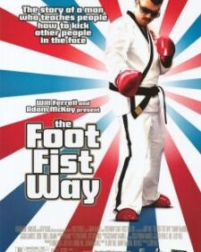 The Foot Fist Way box art
