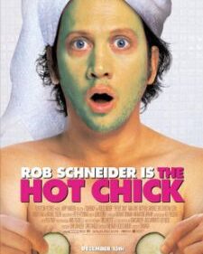 Hot Chick, The box art