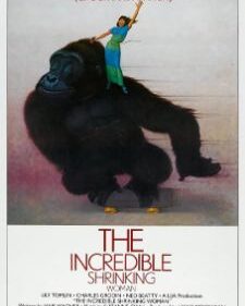 Incredible Shrinking Woman, The box art