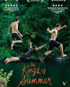 Kings Of Summer, The box art