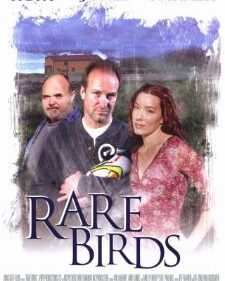 Rare Birds box art