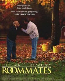 Roommates box art