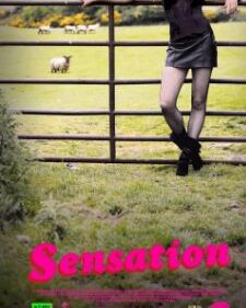 Sensation box art