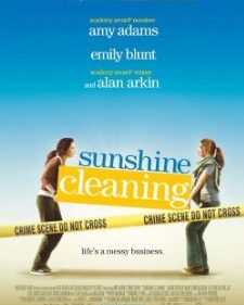 Sunshine Cleaning box art