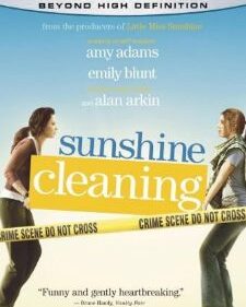 Sunshine Cleaning Blu-ray box art