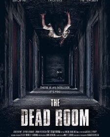 Dead Room, The box art