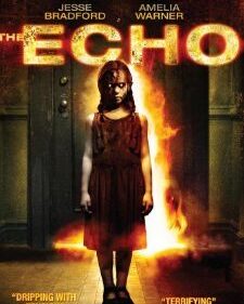 Echo, The box art