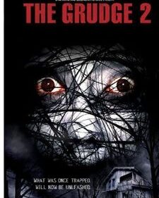 Grudge 2, The box art