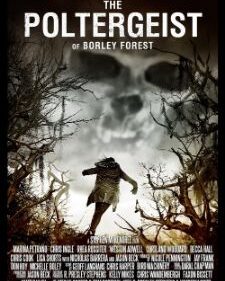 Poltergeist Of Borley Forest, The box art