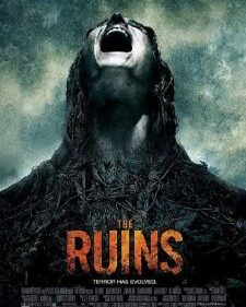 Ruins, The box art