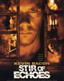 Stir Of Echoes box art