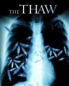 Thaw, The box art