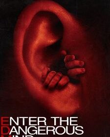 Enter The Dangerous Mind box art
