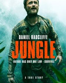 Jungle box art