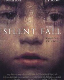 Silent Fall box art
