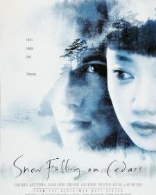 Snow Falling On Cedars box art