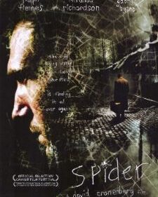 Spider box art