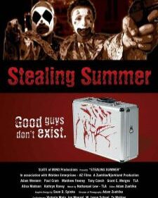 Stealing Summers box art