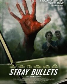 Stray Bullets box art