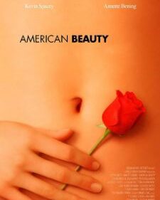 American Beauty box art