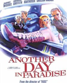 Another Day In Paradise box art
