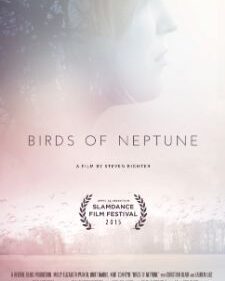 Birds Of Neptune box art