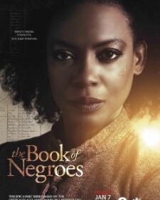 Book Of Negroes, The box art
