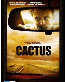 Cactus box art