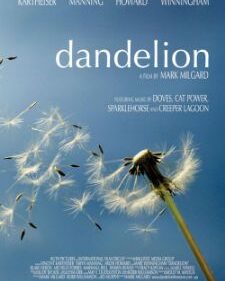 Dandelion box art