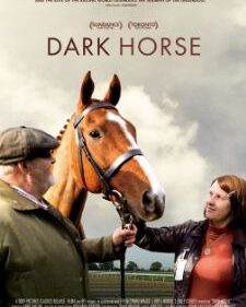 Dark Horse, The box art